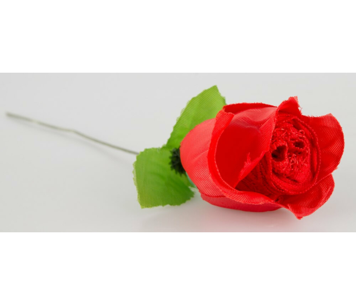 Panty Rose - rózsaszálba rejtett tanga - piros (S-L) - 8